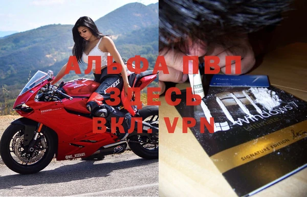 стафф Новозыбков