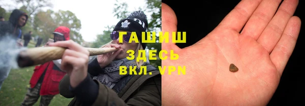 прущие грибы Новокубанск