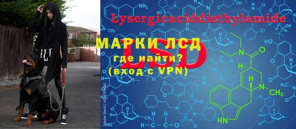 стафф Новозыбков