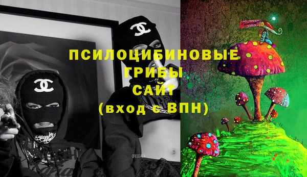 прущие грибы Новокубанск