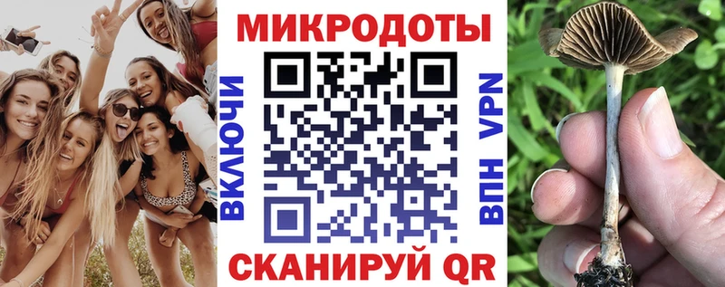 Галлюциногенные грибы прущие грибы  Зеленокумск 