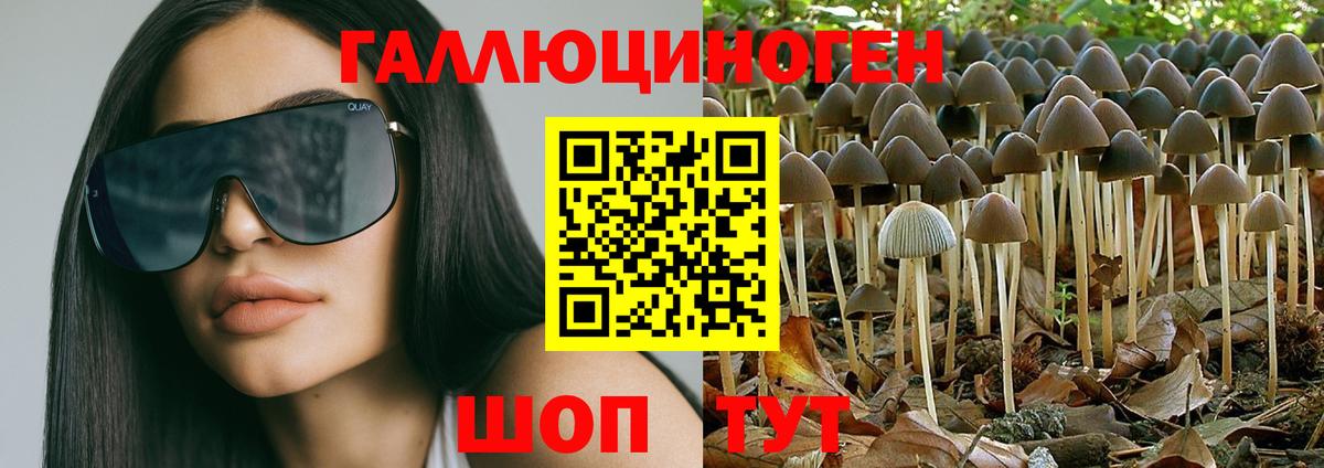 Галлюциногенные грибы ЛСД  Вход с VPN  Галлюциногенные грибы Psilocybine cubensis  Зеленокумск 